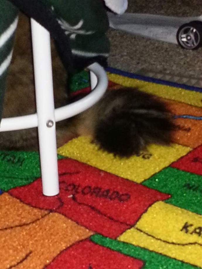 FB_IMG_1434759533724