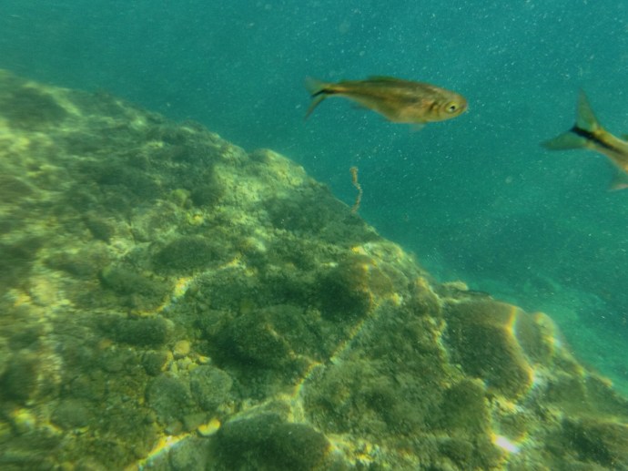 IMG_20170315_151246_hdr