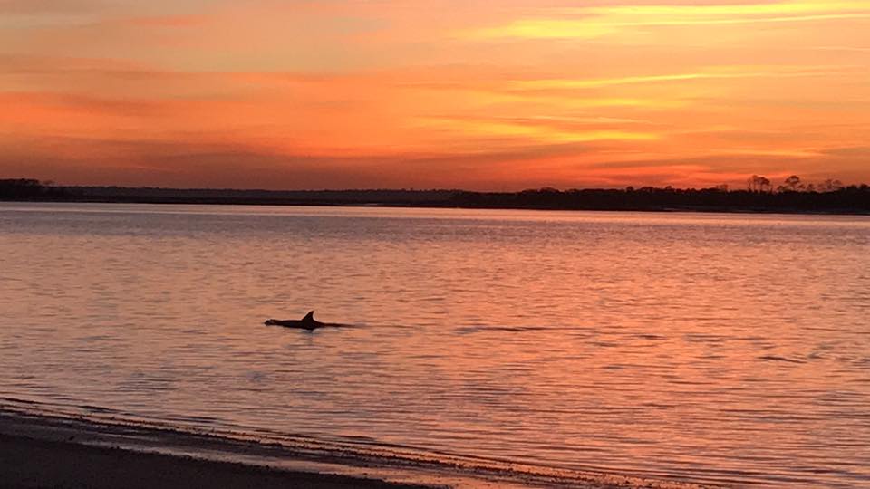 26734119_2032848260155751_7399931352834483948_n