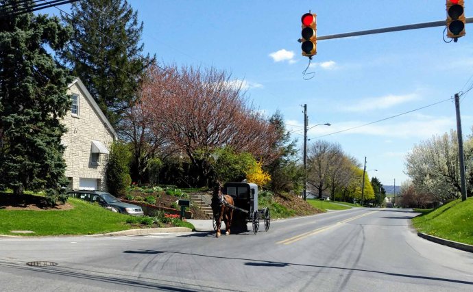 SavedImage_0426181502_24~2