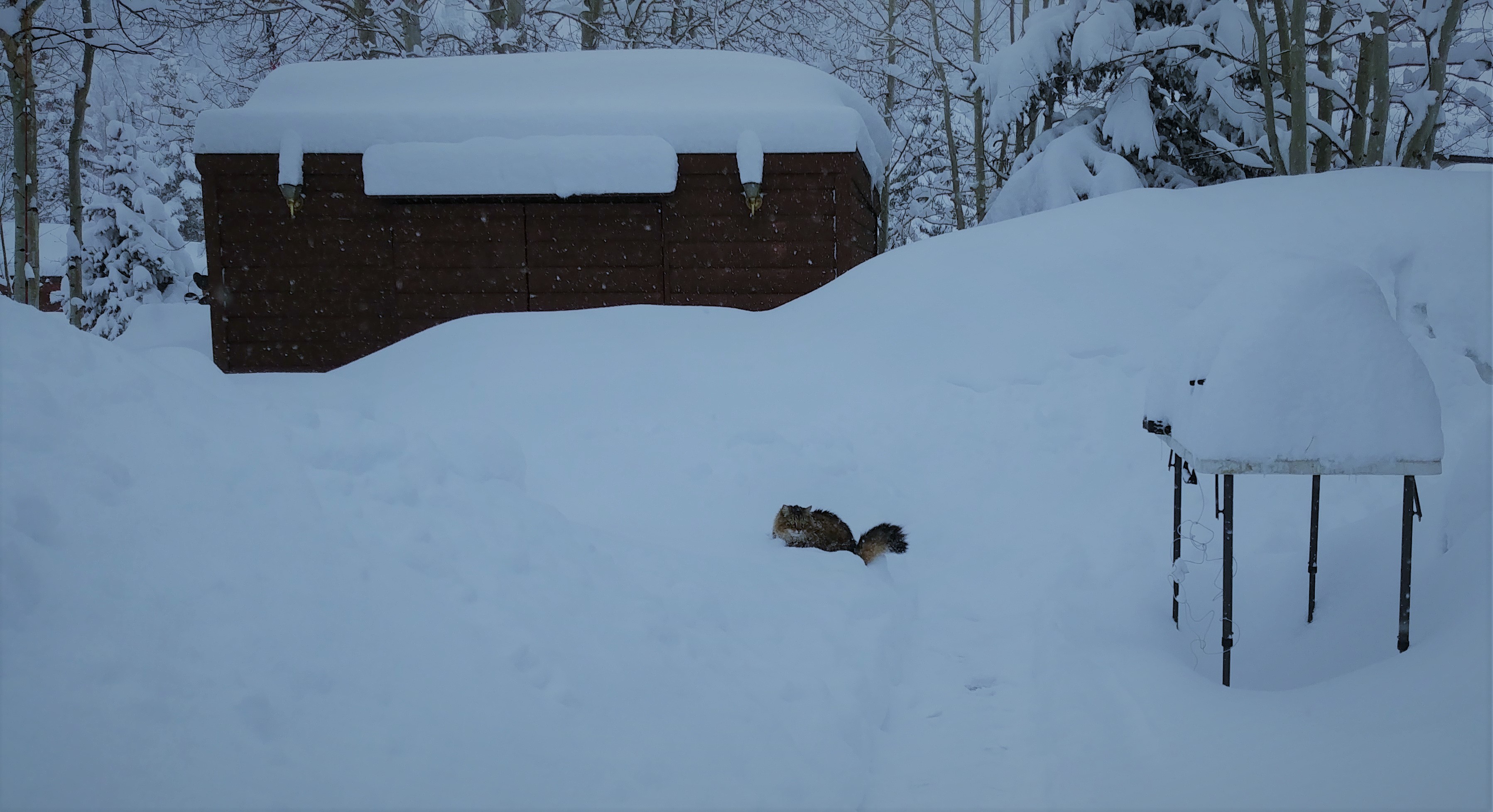 20190303_084206~2 (3)