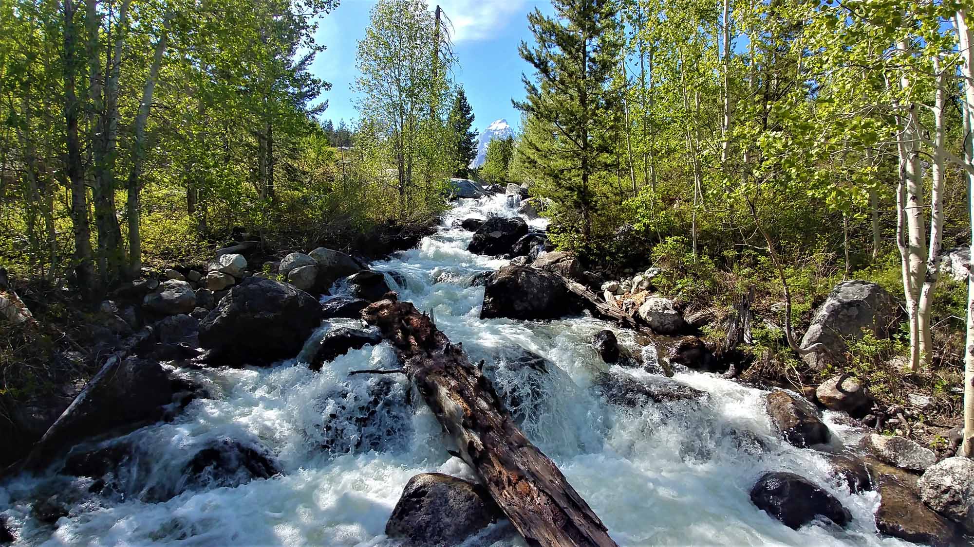 20190604_164802_HDR (2)