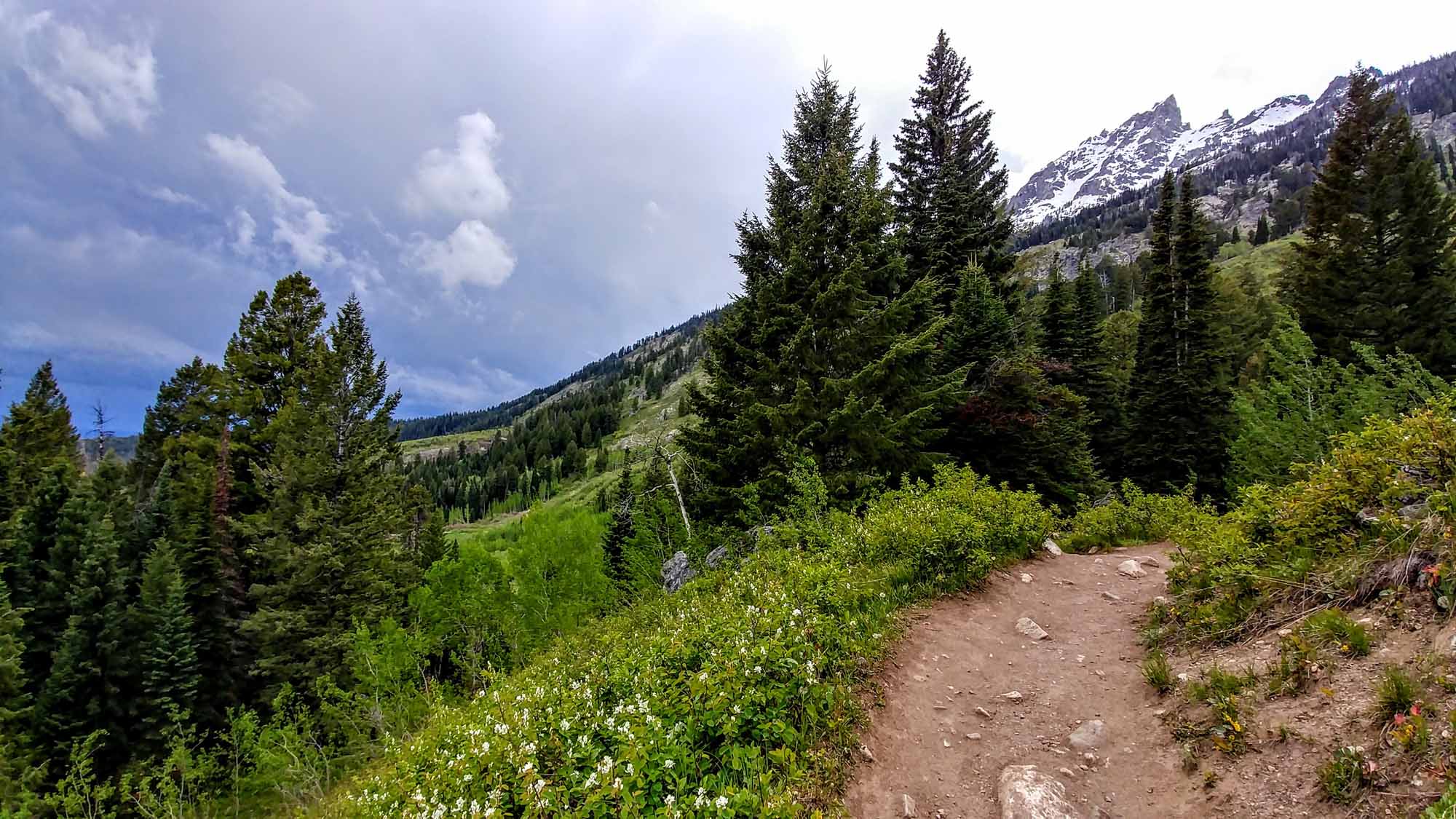 20190606_184332_HDR~2