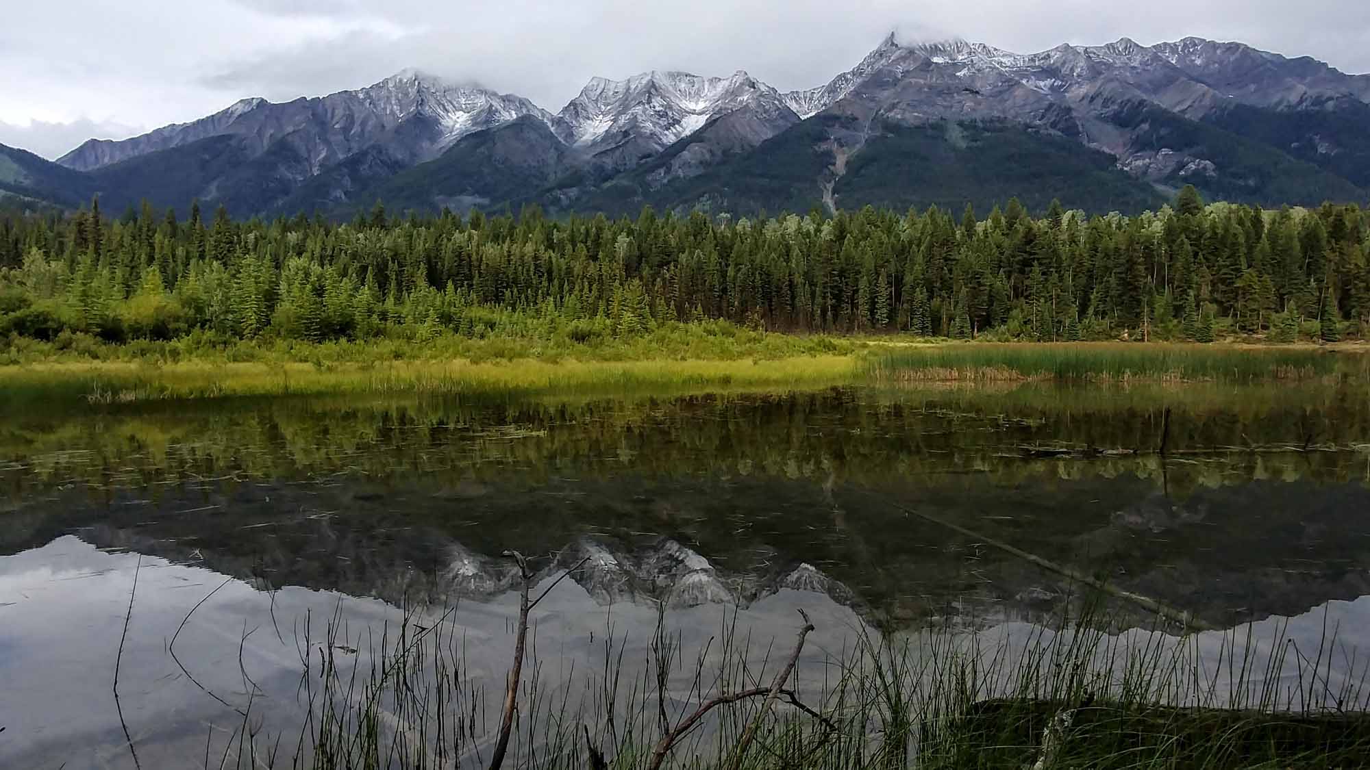 20190718_181438_HDR~2