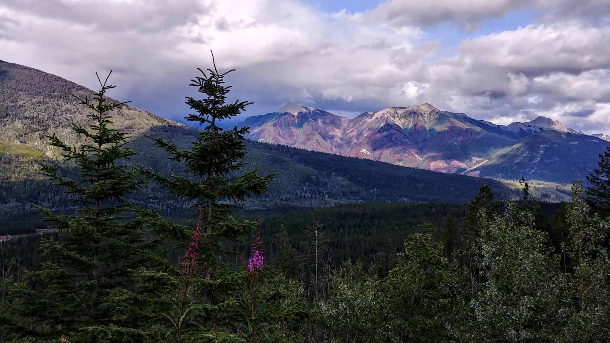 20190718_191802_HDR~2