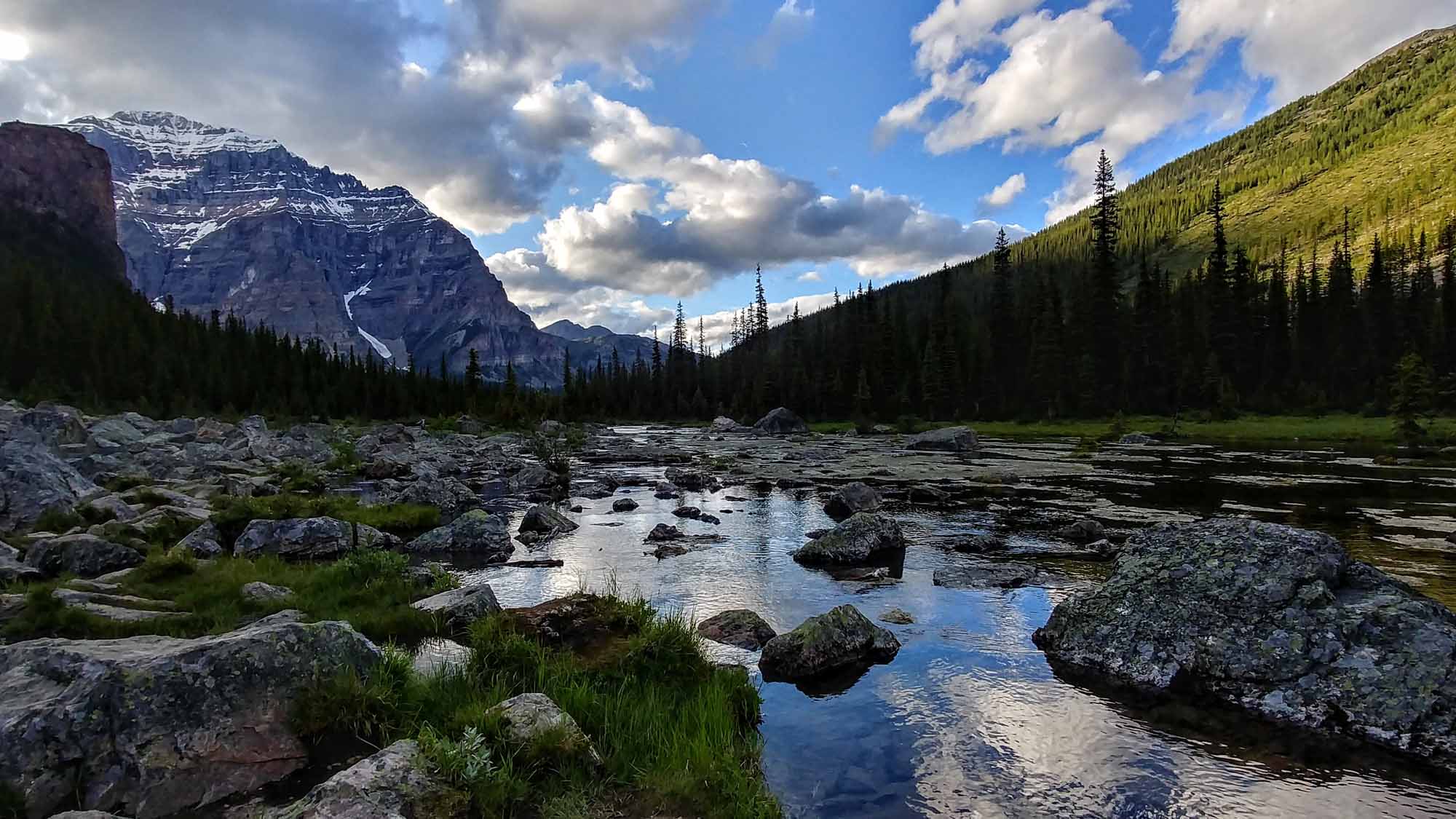 20190725_200528_HDR~2