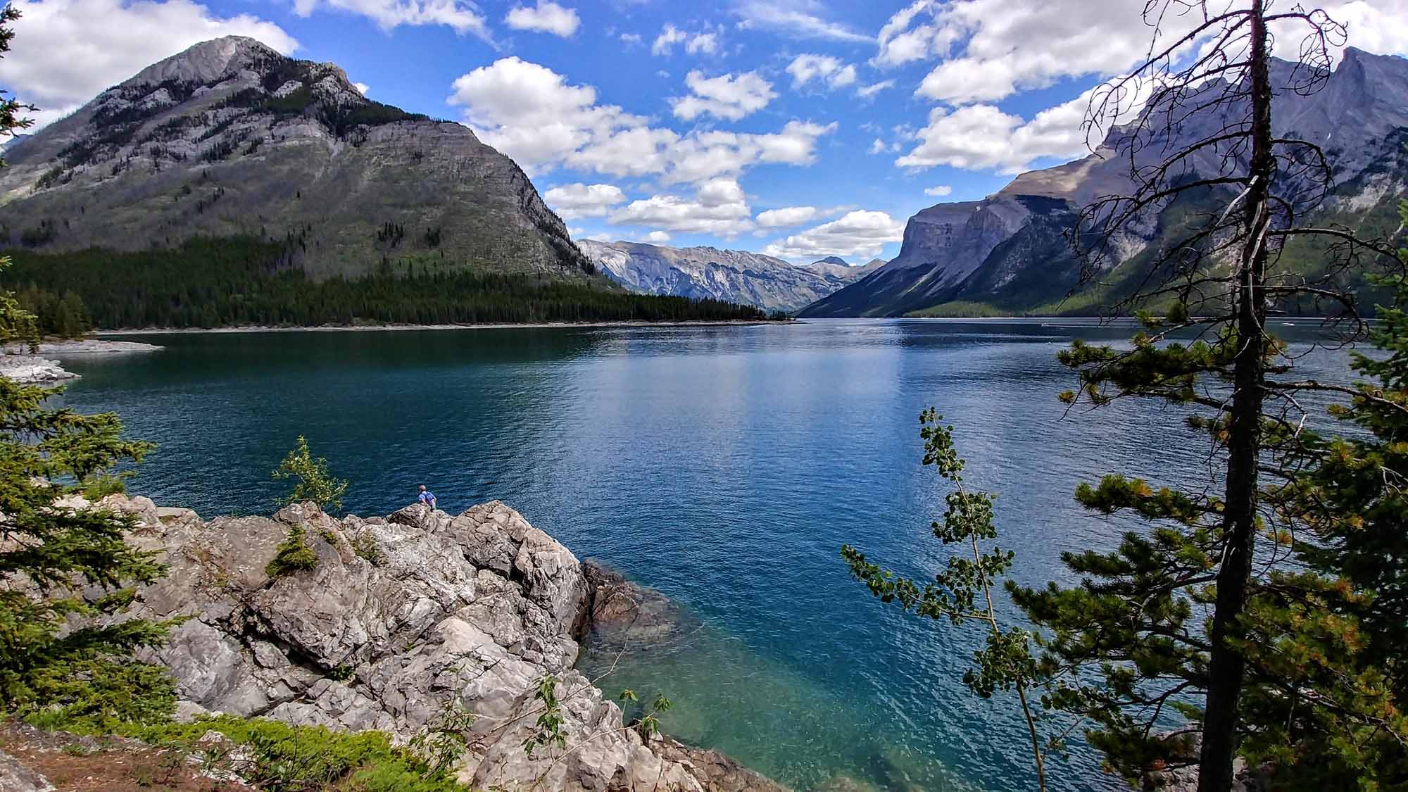 20190728_131258_HDR~2