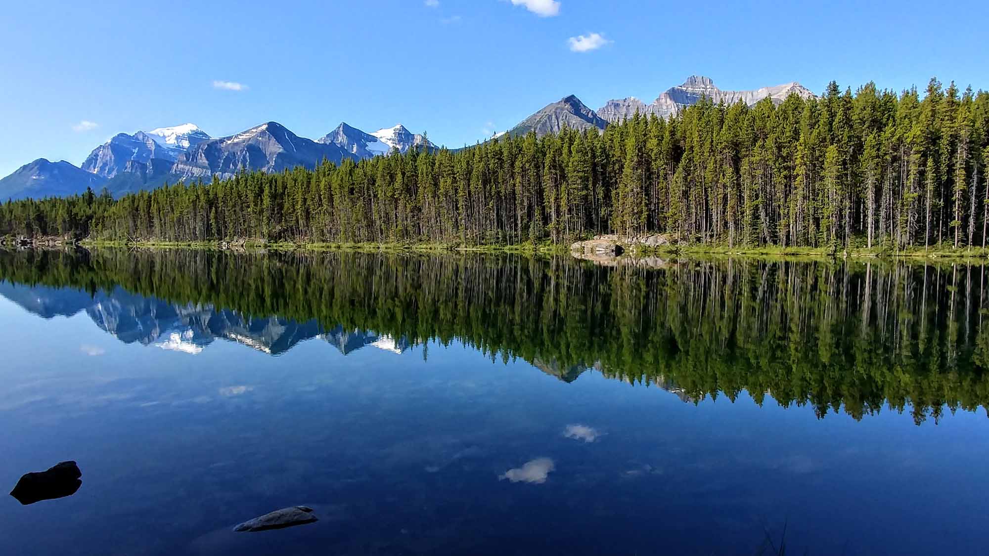 20190729_085914_HDR~2