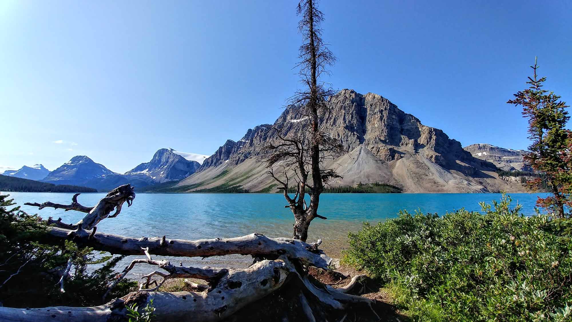 20190729_094036_HDR~2