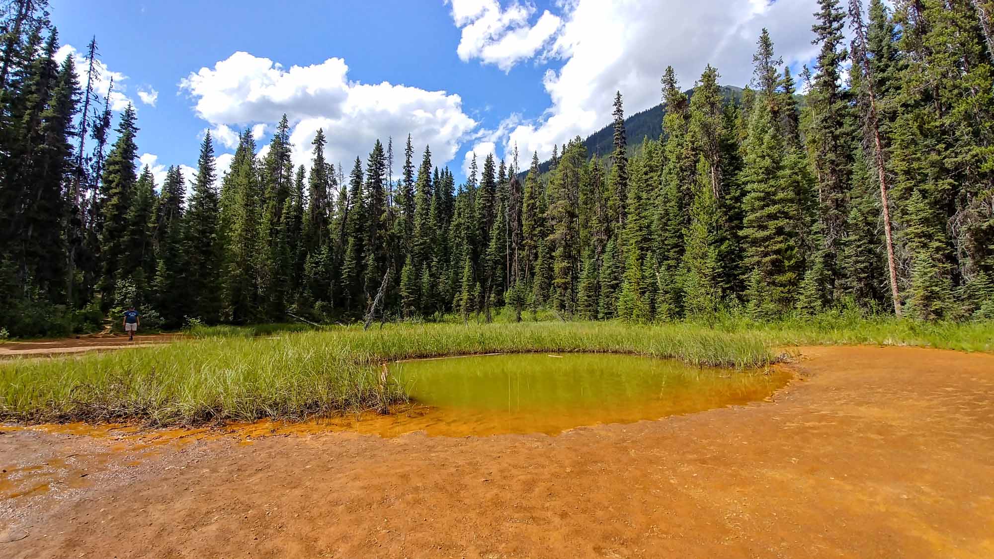 20190801_161027_HDR~2