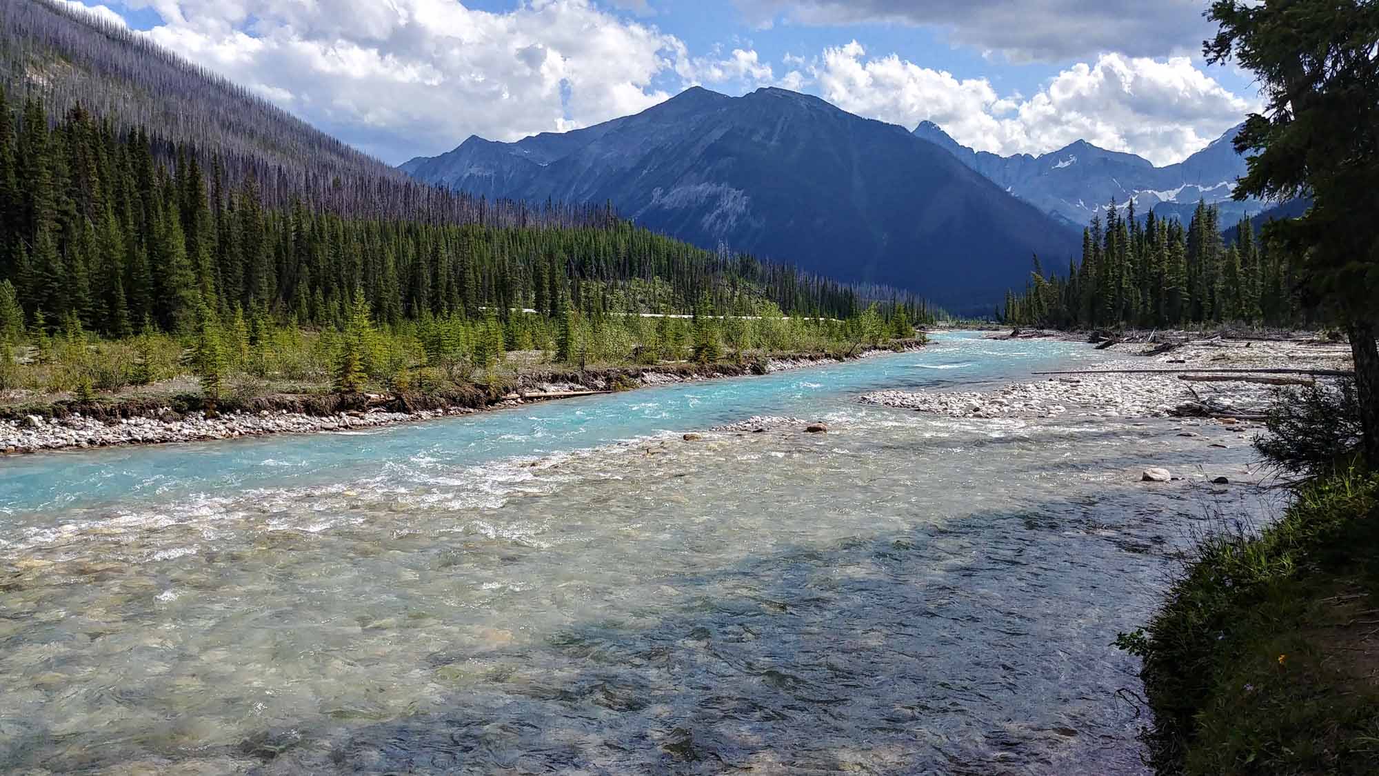 20190801_162804_HDR~2