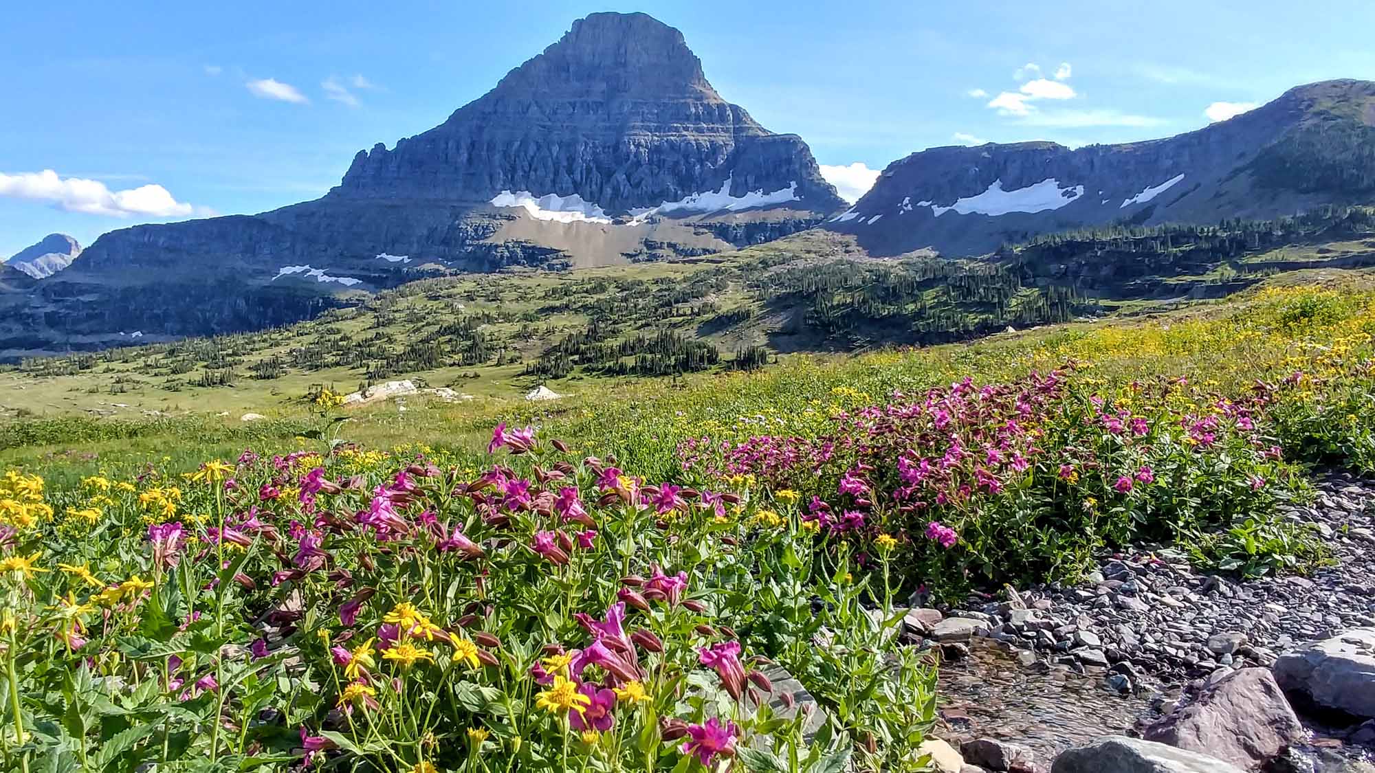 20190813_170606_HDR~2