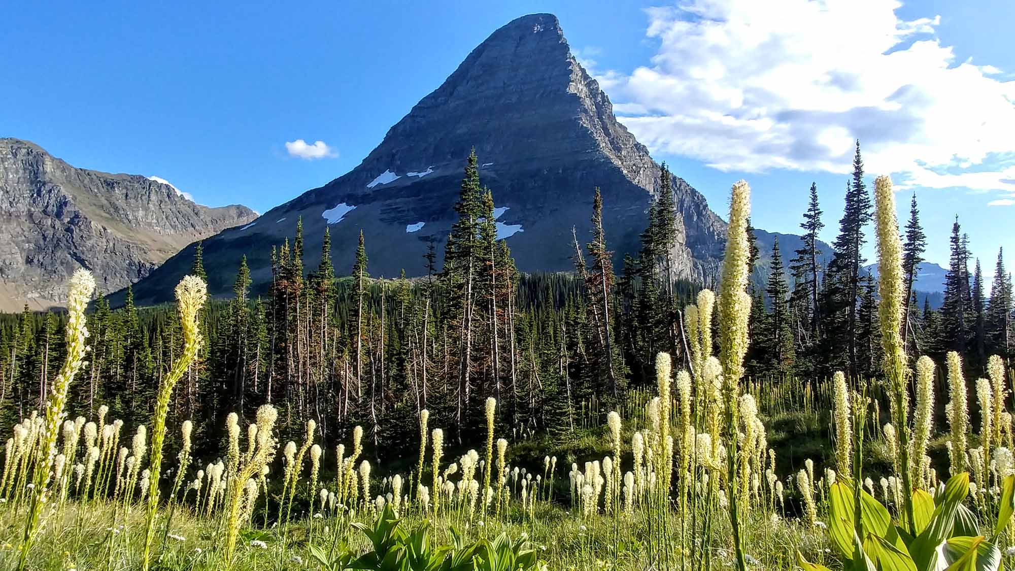 20190813_184132_HDR~2