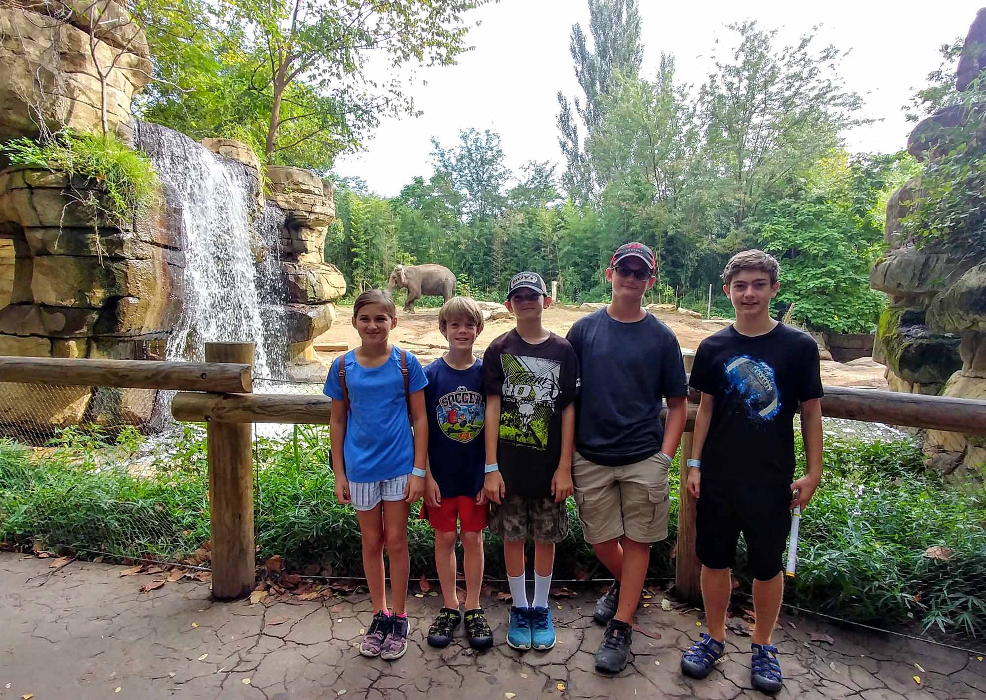 20190823_095357_HDR~2