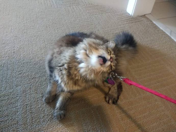 70318521_2946037818756494_2946505512478310400_o