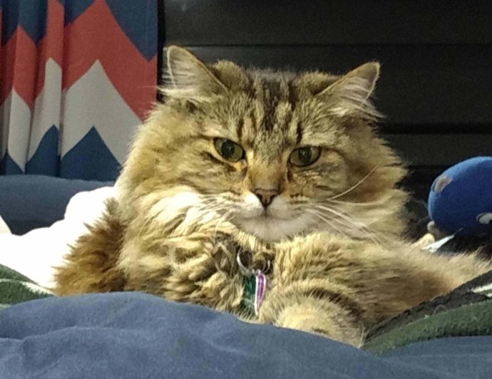 IMG_20191105_225348922